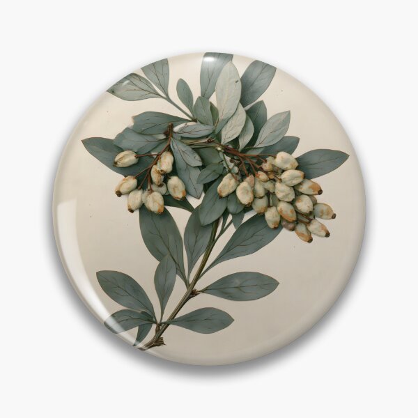 Item preview, Antique Barberry Botanical Sketch designed and sold by HortusPress.