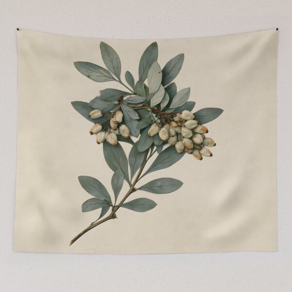 Item preview, Antique Barberry Botanical Sketch designed and sold by HortusPress.