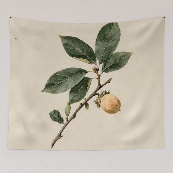 Item preview, Antique Walnut Botanical Sketch designed and sold by HortusPress.