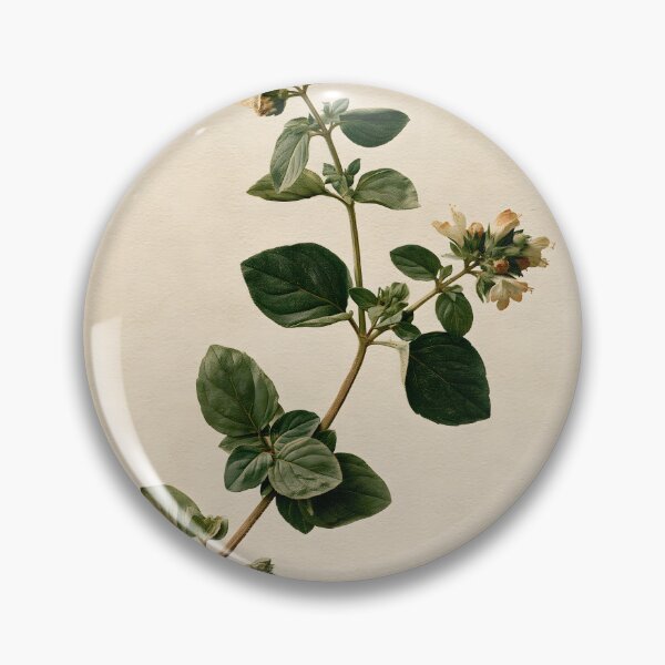 Item preview, Wild Marjoram Vintage Nature Study designed and sold by HortusPress.