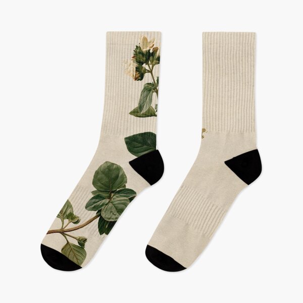 Item preview, Wild Marjoram Vintage Nature Study designed and sold by HortusPress.