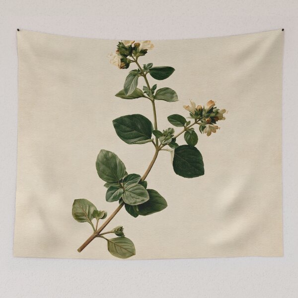 Item preview, Wild Marjoram Vintage Nature Study designed and sold by HortusPress.
