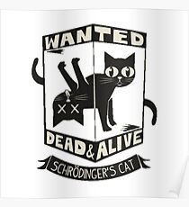 Schrödinger's cat Poster
