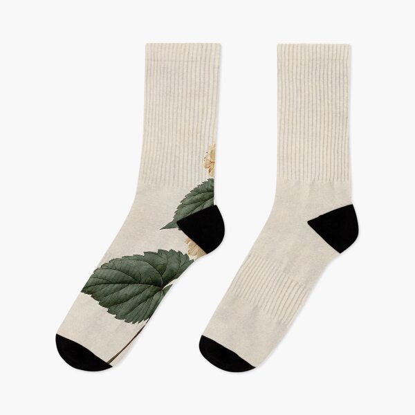 Item preview, Hops Vintage Nature Study designed and sold by HortusPress.