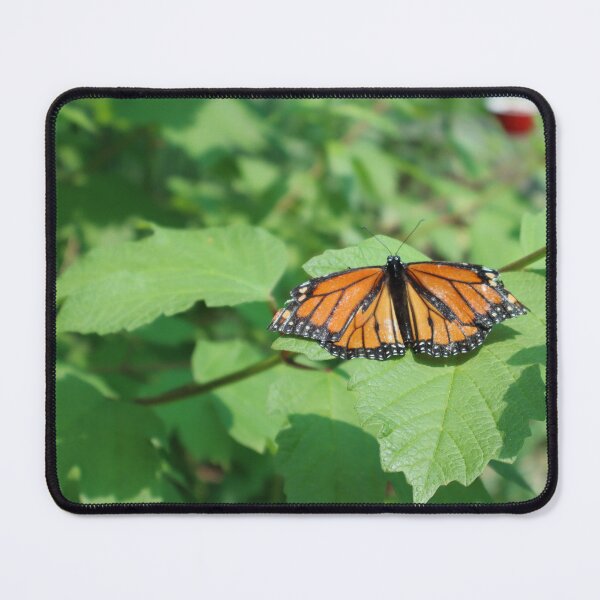 Item preview, Spread your wings designed and sold by Kindred Photograghy.