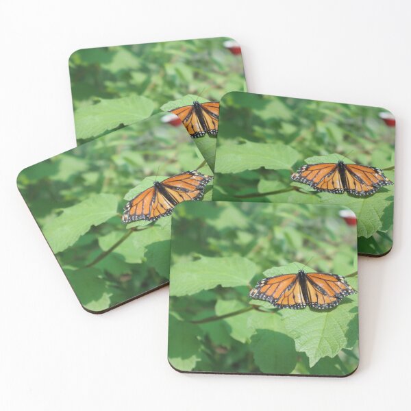 Item preview, Spread your wings designed and sold by Kindred Photograghy.
