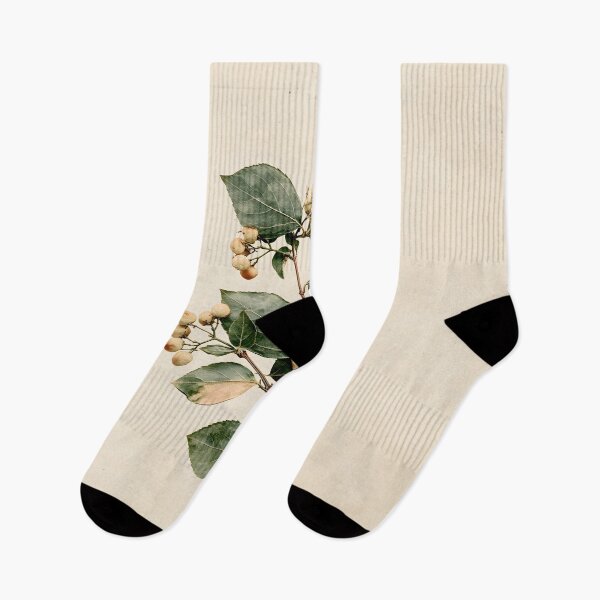 Item preview, Spindle Botanical Watercolor designed and sold by HortusPress.