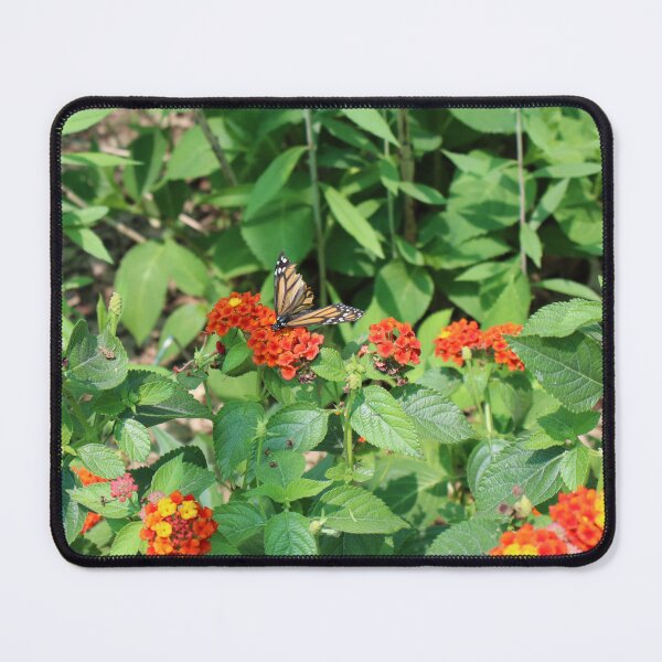 Item preview, Butterfly Patch designed and sold by Kindred Photograghy.