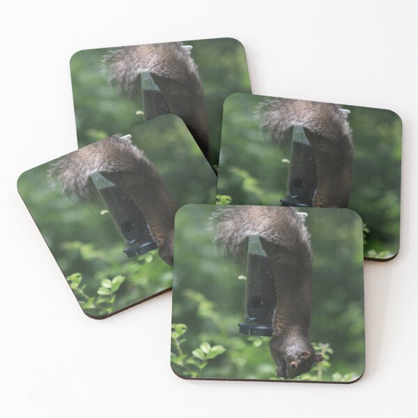 Item preview, Hanging Around designed and sold by Kindred Photograghy.