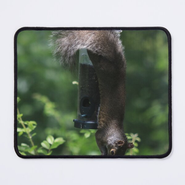 Item preview, Hanging Around designed and sold by Kindred Photograghy.