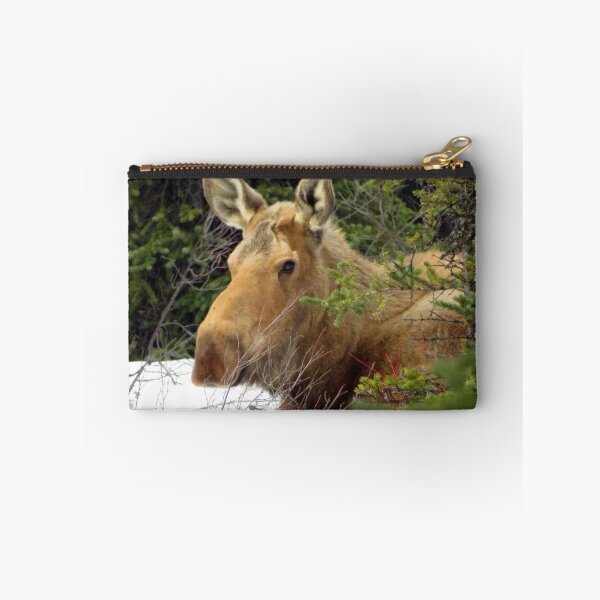 Item preview, Moose Laying Down designed and sold by sharkbait83.