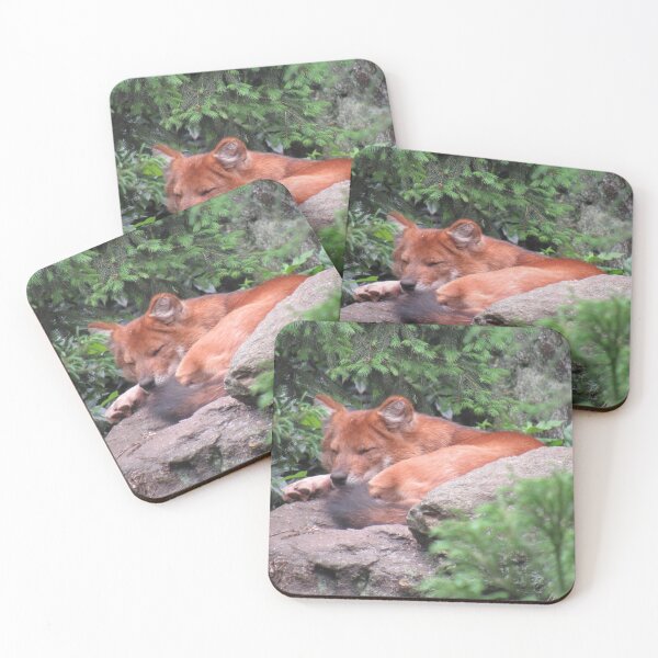 Item preview, Sleepy Asiatic wild dog designed and sold by boat_driver.