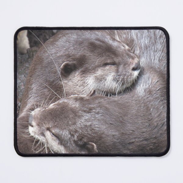 Item preview, Cuddling otters designed and sold by boat_driver.