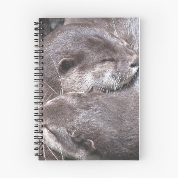 Item preview, Cuddling otters designed and sold by boat_driver.