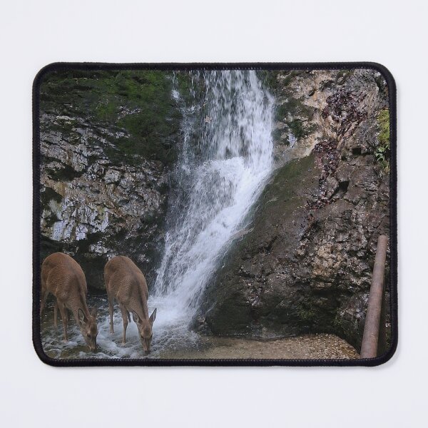 Item preview, Twin Deer Drinking at Forest Waterfall – Woodland Nature Photography designed and sold by Hookesmode.