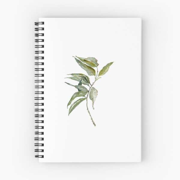 Item preview, eucalyptus -a hardy stem of gum leaves  designed and sold by RPrince1.