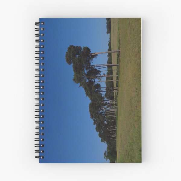 Item preview, A Row Of Pine Trees designed and sold by wiggyofipswich.
