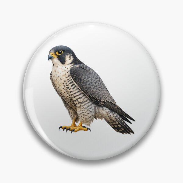 Item preview, Falcon bird realistic sticker designed and sold by OmarStore97.