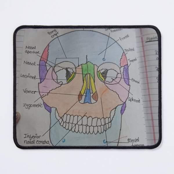 Item preview, Skull for bio lovers designed and sold by Ly19.