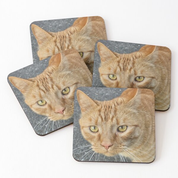 Item preview, Curious Ginger Cat Portrait designed and sold by SNJ-LIFE.