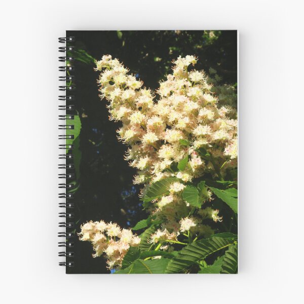Item preview, Horse Chestnut Flowers designed and sold by wiggyofipswich.