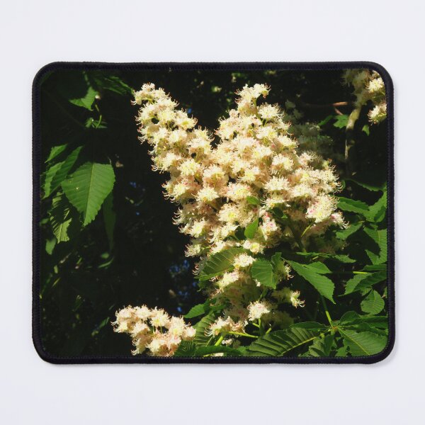 Item preview, Horse Chestnut Flowers designed and sold by wiggyofipswich.