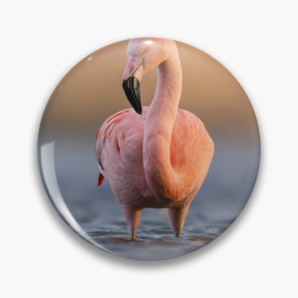 Item preview, Elegant Manchester City Fc bFlamingo Bloom designed and sold by Reempingkygirl.