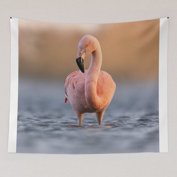 Item preview, Elegant Manchester City Fc bFlamingo Bloom designed and sold by Reempingkygirl.