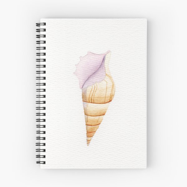 Item preview, Watercolor painting of a delicate conch shell designed and sold by KPierceArt.
