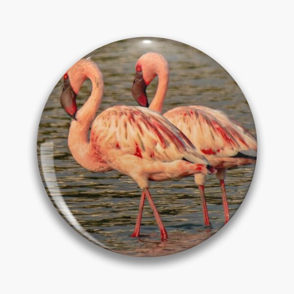 Item preview, Flamingo PayPal dParadise Nights designed and sold by Reempingkygirl.