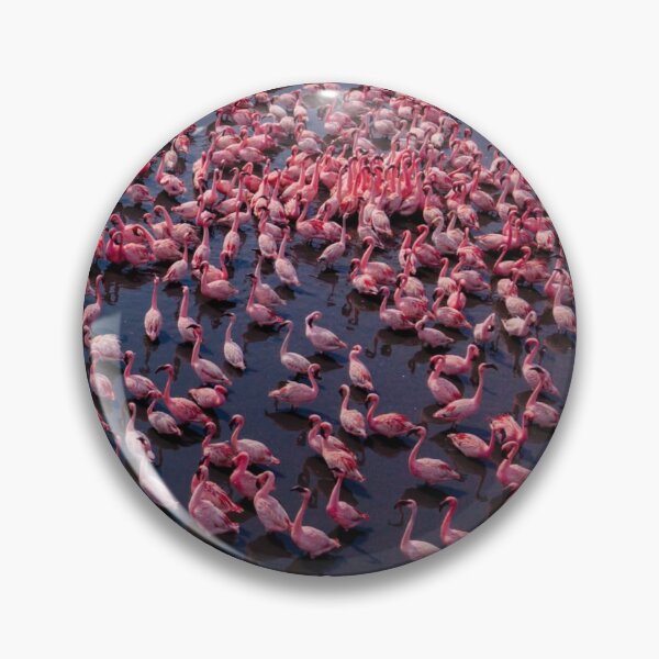 Item preview, Coastal  Liverpool Fc dFlamingo Dreams designed and sold by Reempingkygirl.