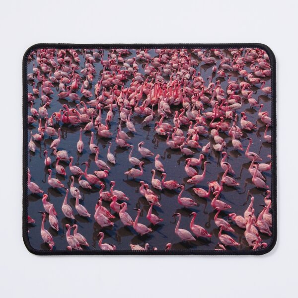 Item preview, Coastal Liverpool Fc dFlamingo Dreams designed and sold by Reempingkygirl.