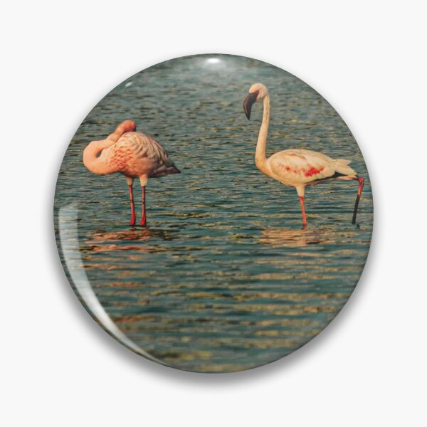 Item preview, Flamingo Liverpool Fc cSunset Glow designed and sold by Reempingkygirl.