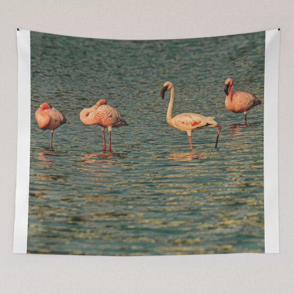 Item preview, Flamingo Liverpool Fc cSunset Glow designed and sold by Reempingkygirl.