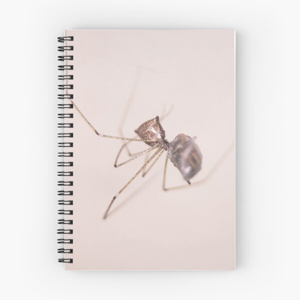 Item preview, Cellar Spider designed and sold by ROSE ANN BANILAR.