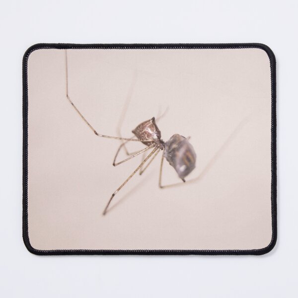 Item preview, Cellar Spider designed and sold by ROSE ANN BANILAR.