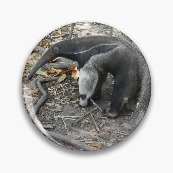 Item preview, Giant Anteater designed and sold by Malcolm Snook.