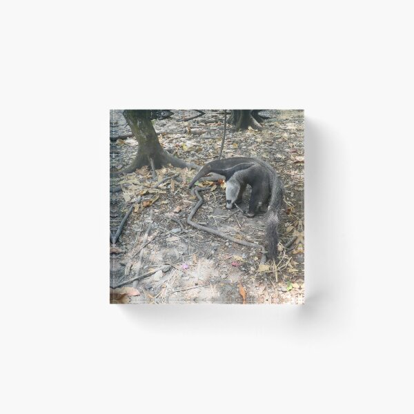 Item preview, Giant Anteater designed and sold by Malcolm Snook.