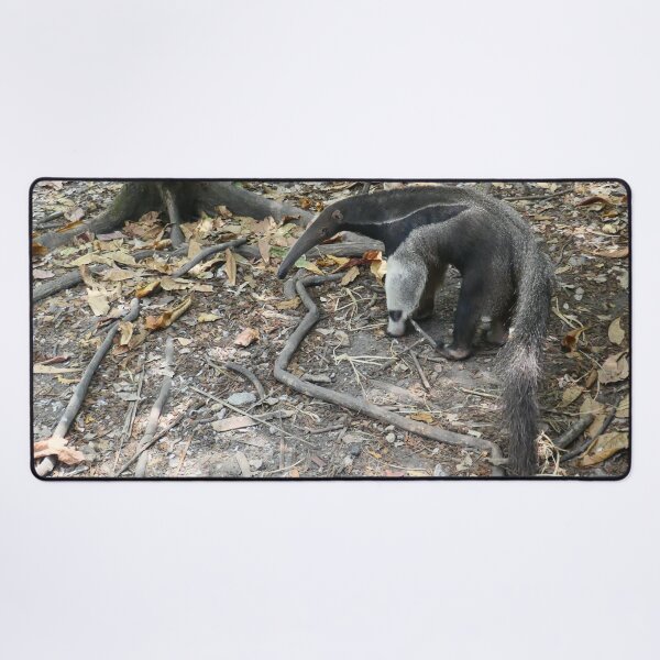 Item preview, Giant Anteater designed and sold by Malcolm Snook.
