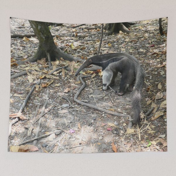 Item preview, Giant Anteater designed and sold by Malcolm Snook.