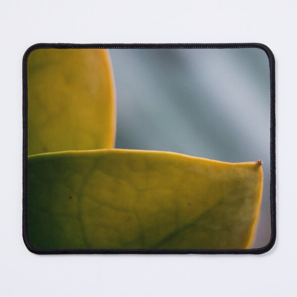 Item preview, Macro of Leaves designed and sold by ROSE ANN BANILAR.
