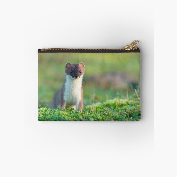 Item preview, A stoat on the alert! designed and sold by Scott-Tilley Photography.