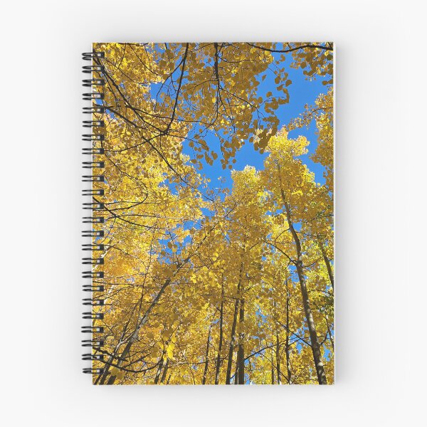 Item preview, Blue & Gold designed and sold by Mountain & Moss Creative.
