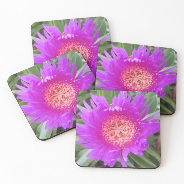 Item preview, Pigface designed and sold by Alexander Krishchyunas.