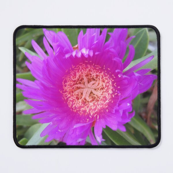 Item preview, Pigface designed and sold by Alexander Krishchyunas.