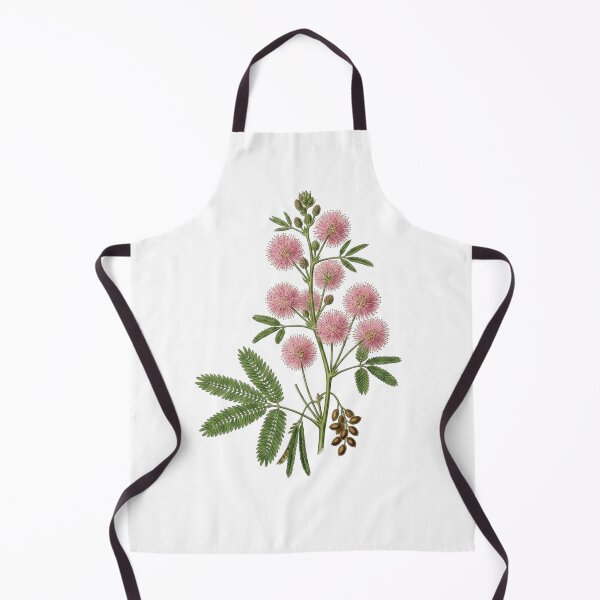 Item preview, Vintage Mimosa Pudica - Sensitive Plant Botanical PNG Art designed and sold by Atlasoloji.