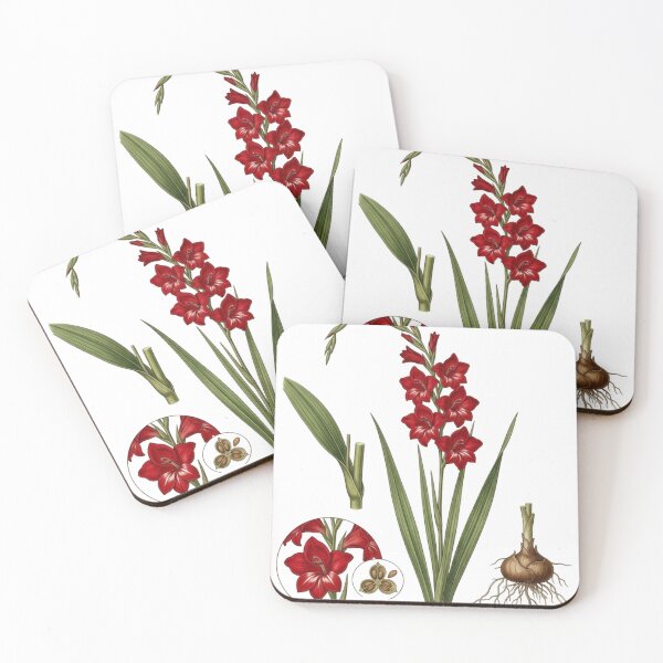 Item preview, Vintage Red Gladiolus - Botanical Sword Lily PNG Art designed and sold by Atlasoloji.