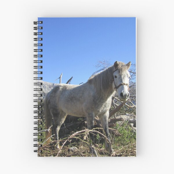 Item preview, Dapple Grey designed and sold by Alexander Krishchyunas.