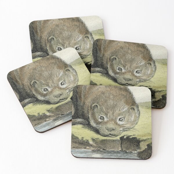 Item preview, Wide-eyed otter watches and waits, drawn 1780 designed and sold by TerryKerrImages.