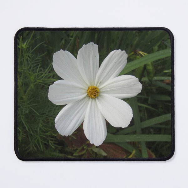 Item preview, Cosmea designed and sold by Alexander Krishchyunas.
